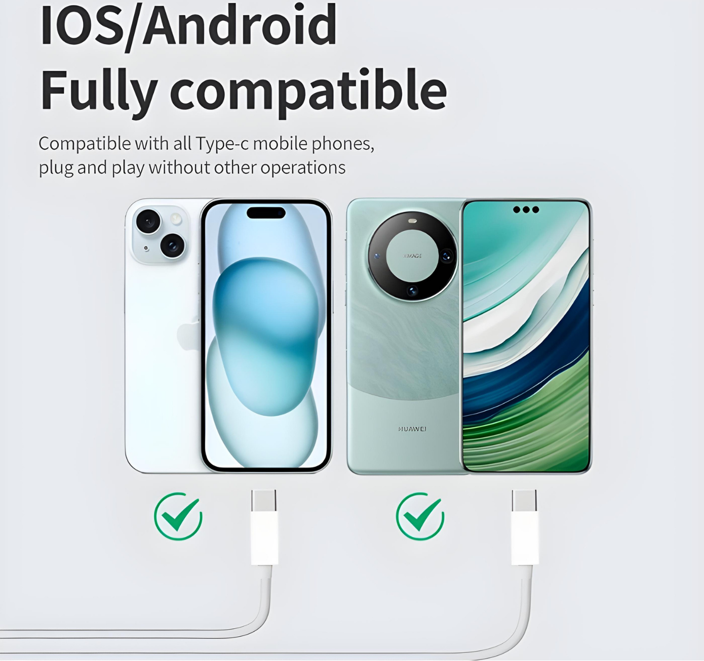 Wired Earpods With Mic (USB C)