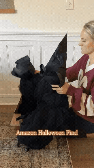 Turbo Cables – Lighted Halloween Witch Garden Stakes