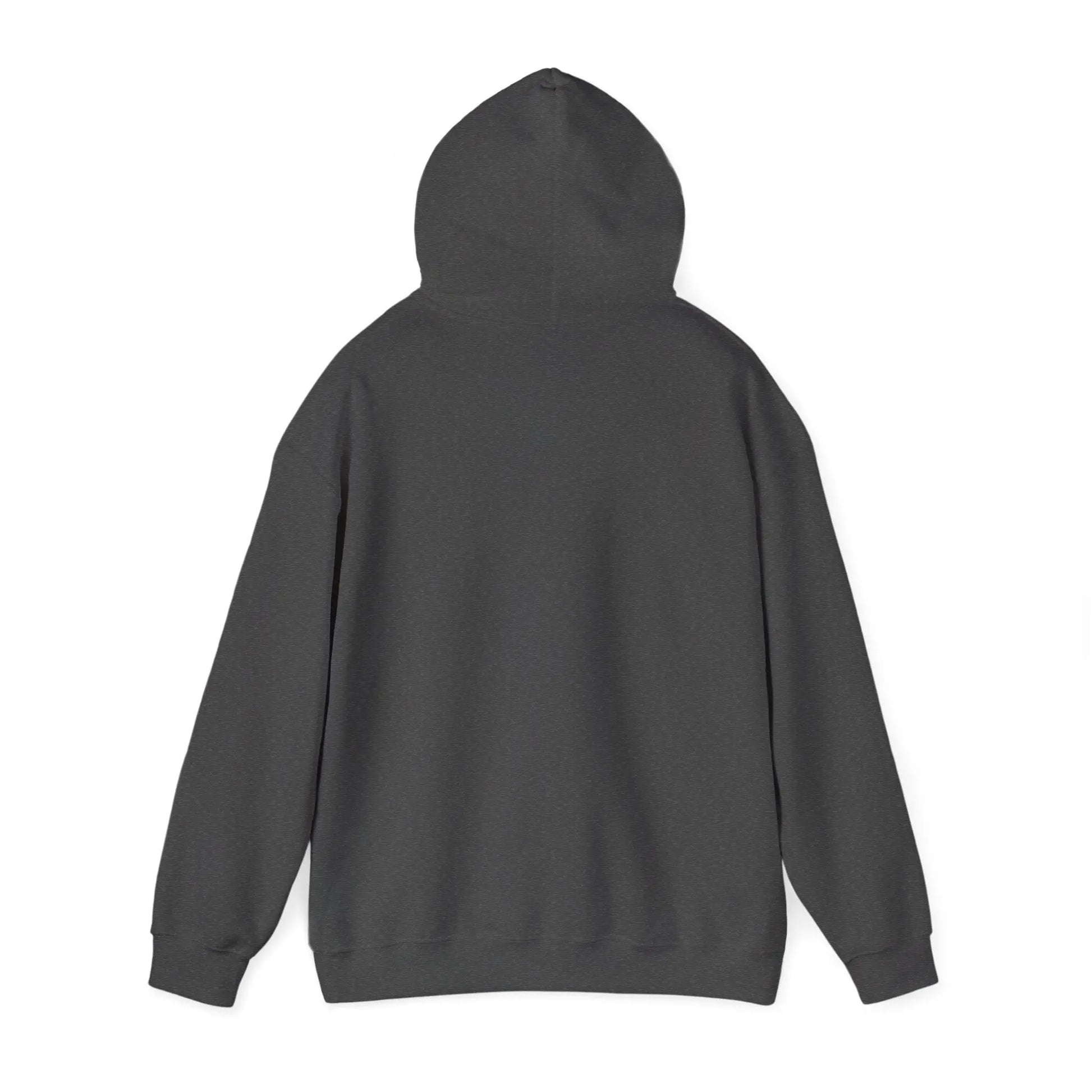 Comfy Unisex Hoodie Sweatshirt Printify