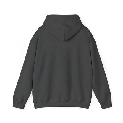 Comfy Unisex Hoodie Sweatshirt Printify