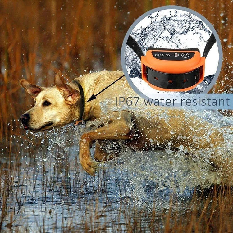 Turbo Best Wireless Electric Dog Fence With Shock Collar